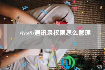 vivo通讯录权限设置在哪里
