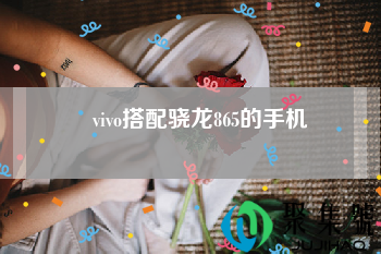 vivo搭配骁龙865的手机