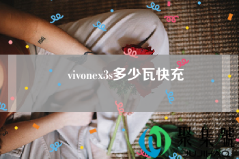 vivonex3s多少瓦快充