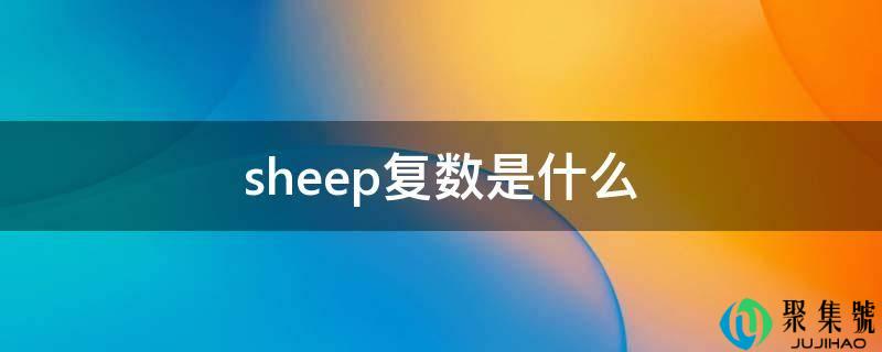 sheep复数是什么