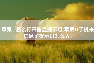 苹果11怎么打开信息提示灯(苹果11手机来信息了提示灯怎么弄)