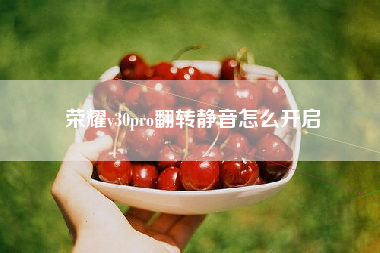 荣耀v30pro翻转静音怎么开启