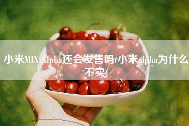 小米MIX Alpha还会发售吗(小米alpha为什么不卖)