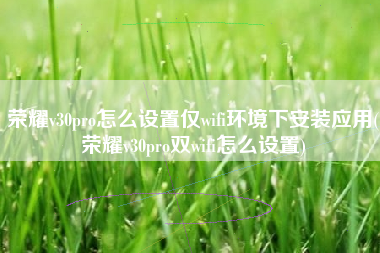 荣耀v30pro怎么设置仅wifi环境下安装应用(荣耀v30pro双wifi怎么设置)