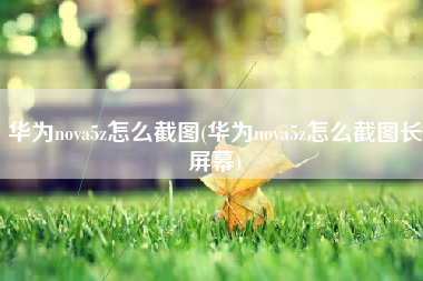 华为nova5z怎么截图(华为nova5z怎么截图长屏幕)