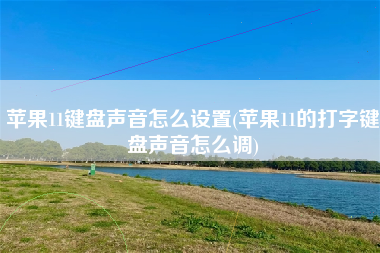 苹果11键盘声音怎么设置(苹果11的打字键盘声音怎么调)