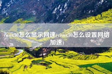 vivox30怎么显示网速(vivox30怎么设置网络加速)