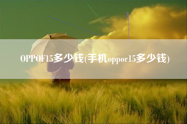 OPPOF15多少钱(手机oppor15多少钱)