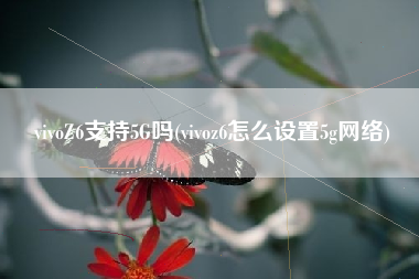 vivoZ6支持5G吗(vivoz6怎么设置5g网络)