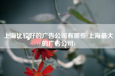上海比较好的广告公司有哪些(上海最大的广告公司)