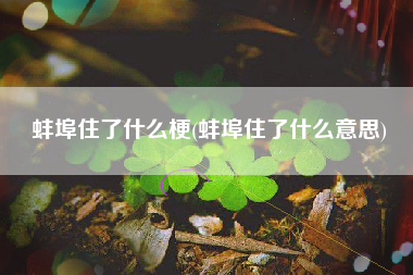 蚌埠住了什么梗(蚌埠住了什么意思)