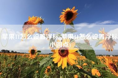 苹果11怎么设置浮标(苹果11怎么设置浮标小圆点)