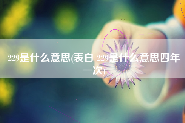 229是什么意思(表白 229是什么意思四年一次)