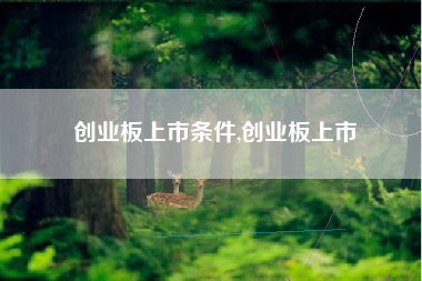 创业板上市条件,创业板上市 创业板上市条件,创业板上市