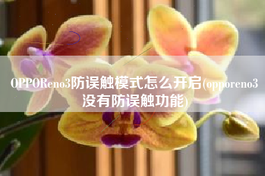 OPPOReno3防误触模式怎么开启(opporeno3没有防误触功能)