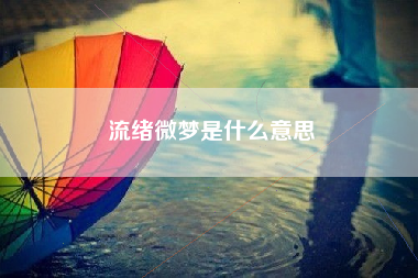 流绪微梦是什么意思