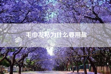 毛巾发粘为什么要用盐