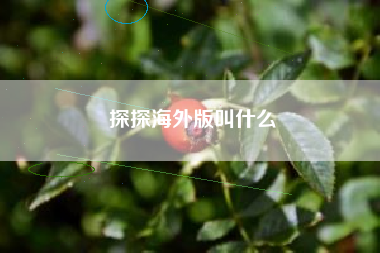 探探海外版叫什么