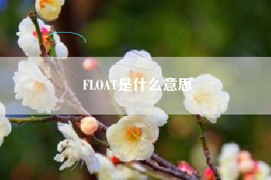FLOAT是什么意思