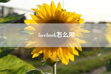 详细阅读:facebook怎么用 facebook怎么用