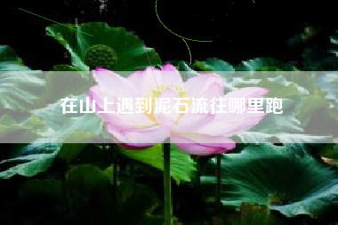 在山上遇到泥石流往哪里跑