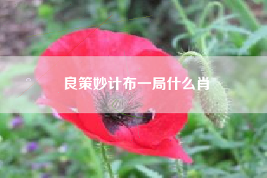 详细阅读:良策妙计布一局什么肖 良策妙计布一局什么肖