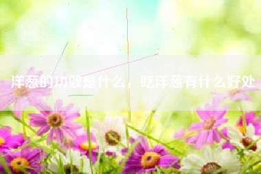洋葱的功效是什么，吃洋葱有什么好处