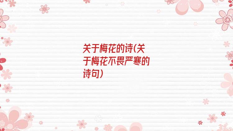 关于梅花的诗(关于梅花不畏严寒的诗句)