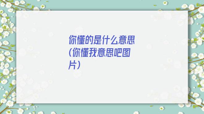 你懂的是什么意思(你懂我意思吧图片)