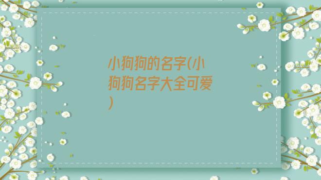 小狗狗的名字(小狗狗名字大全可爱)