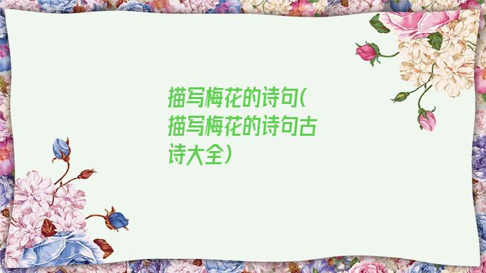 描写梅花的诗句(描写梅花的诗句古诗大全)