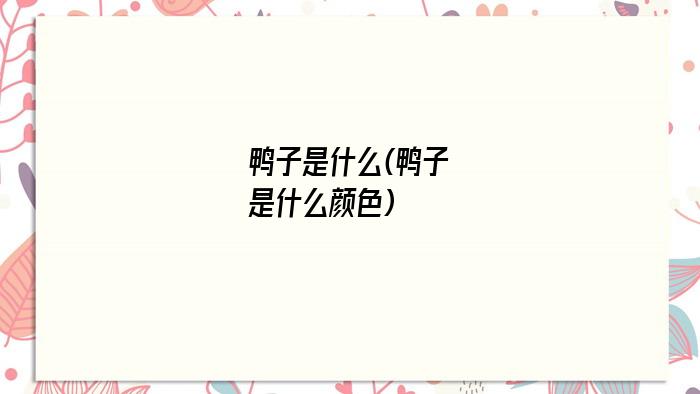 鸭子是什么(鸭子是什么颜色)