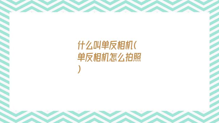 什么叫单反相机(单反相机怎么拍照)