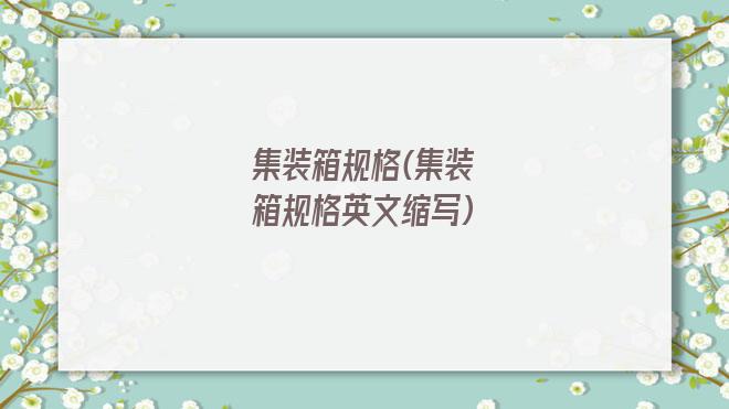 集装箱规格(集装箱规格英文缩写)