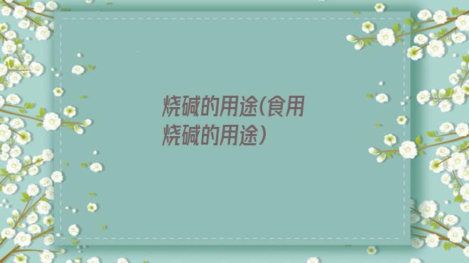 烧碱的用途(食用烧碱的用途)