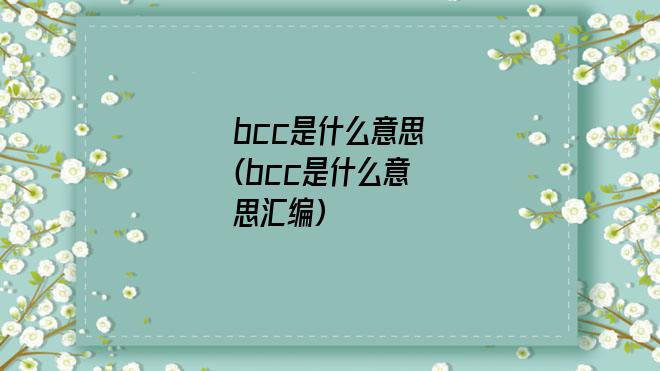 bcc是什么意思(bcc是什么意思汇编)