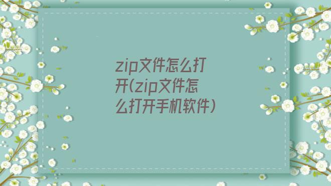 zip文件怎么打开(zip文件怎么打开手机软件)