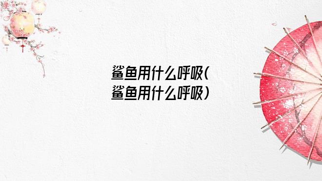鲨鱼用什么呼吸(鲨鱼用什么呼吸)