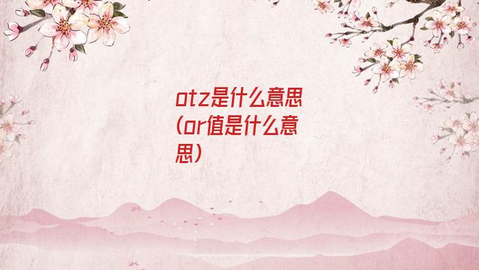 otz是什么意思(or值是什么意思)