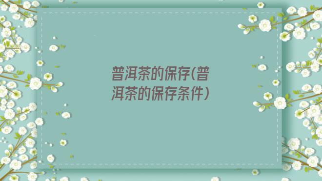 普洱茶的保存(普洱茶的保存条件)