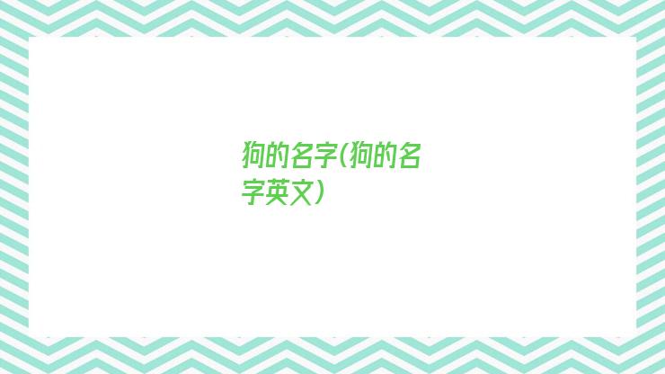 狗的名字(狗的名字英文)