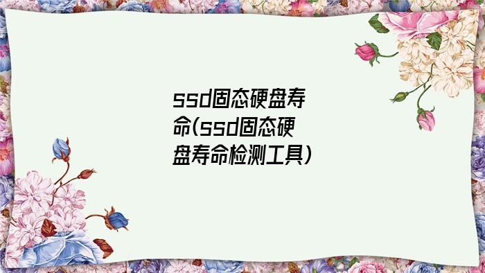 ssd固态硬盘寿命(ssd固态硬盘寿命检测工具)