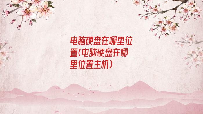 电脑硬盘在哪里位置(电脑硬盘在哪里位置主机)