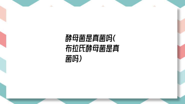 酵母菌是真菌吗(布拉氏酵母菌是真菌吗)