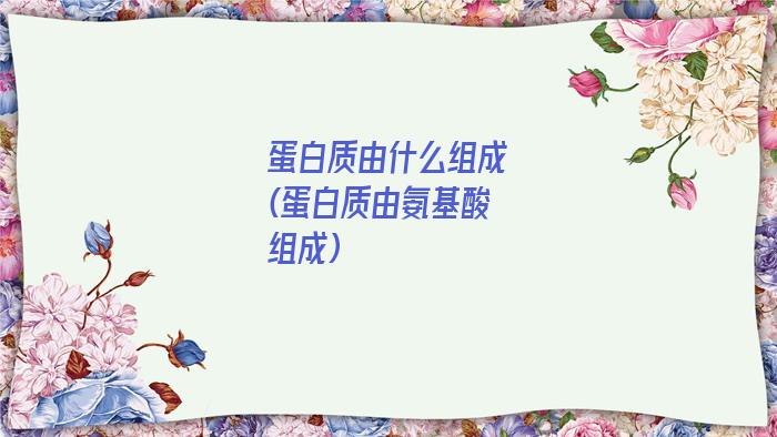 蛋白质由什么组成(蛋白质由氨基酸组成)