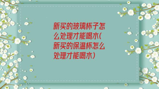 新买的玻璃杯子怎么处理才能喝水(新买的保温杯怎么处理才能喝水)