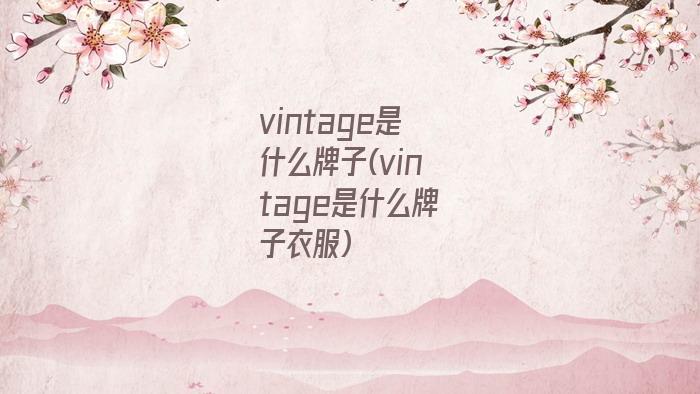 vintage是什么牌子(vintage是什么牌子衣服)