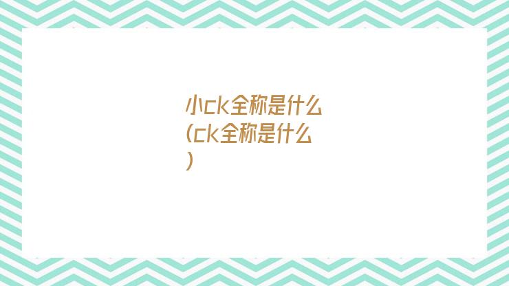 小ck全称是什么(ck全称是什么)