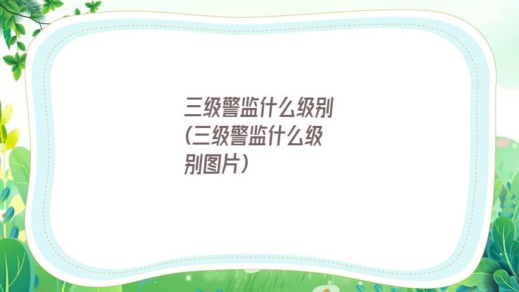 三级警监什么级别(三级警监什么级别图片)