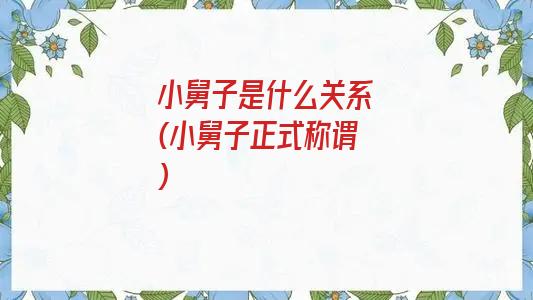 小舅子是什么关系(小舅子正式称谓)